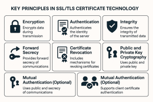 What Is SSL? Complete Guide to Secure Websites, Encryption, TLS and SEO ...