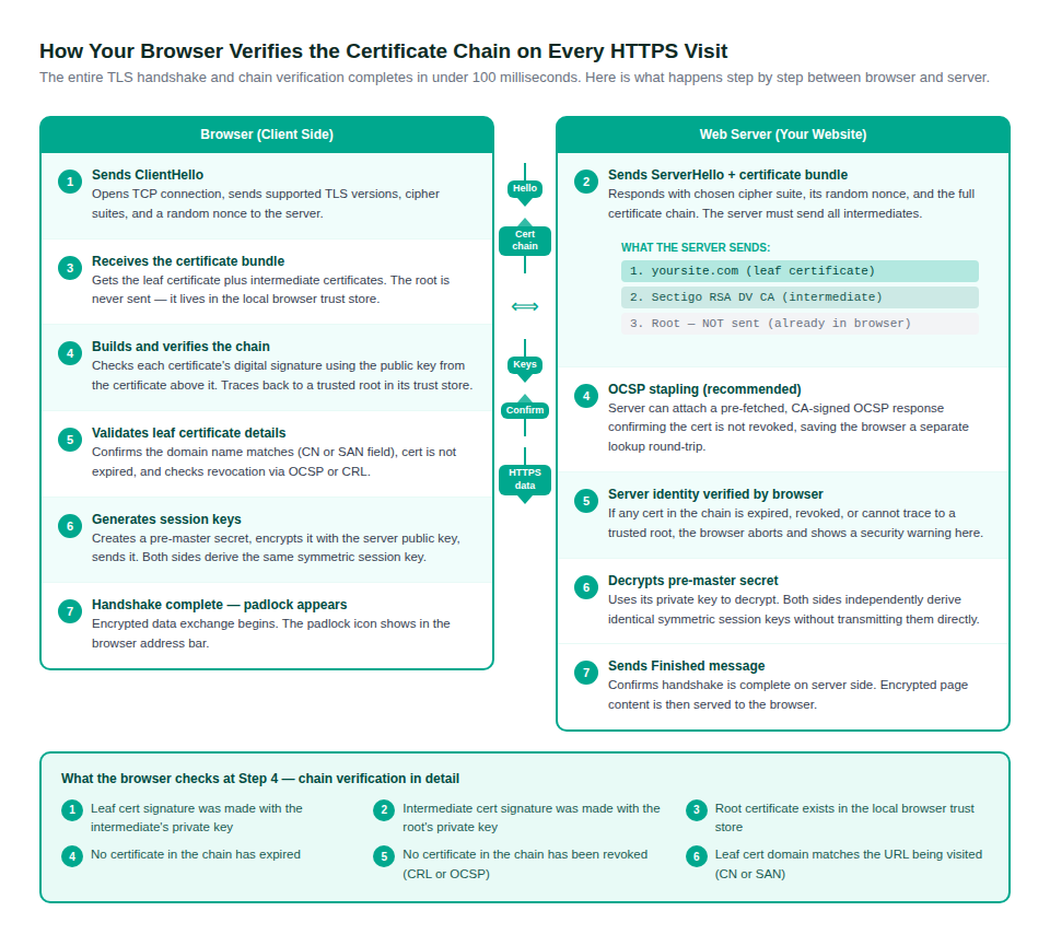 The TLS handshake process showing how the browser and server exchange the certificate chain