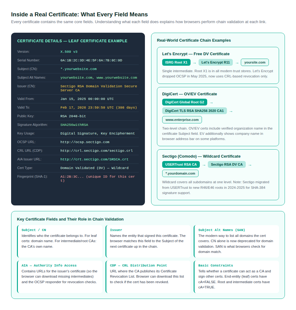 Real certificate field breakdown with annotations, plus three real-world chain examples from Let's Encrypt, DigiCert, and Sectigo showing how different CAs structure their chains