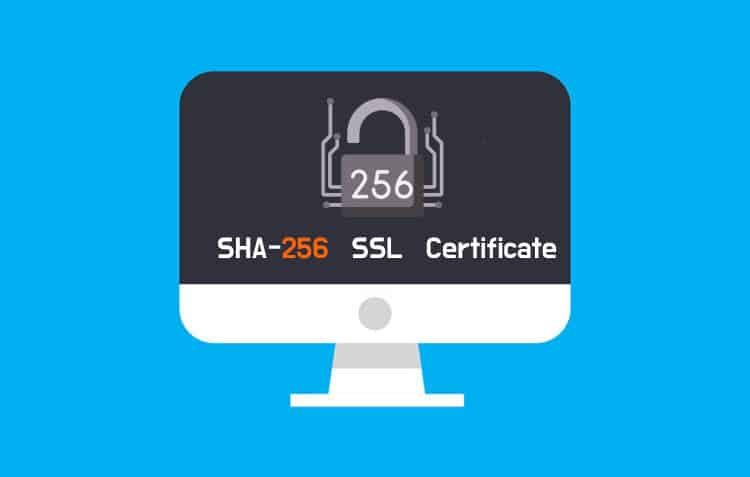 Everything You Need to Know About SHA-256 SSL Certificate