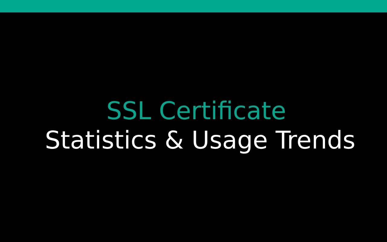 SSL Certificate Statistics & Usage Trends – 2024