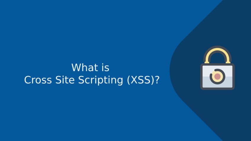 What is Cross Site Scripting (XSS)?