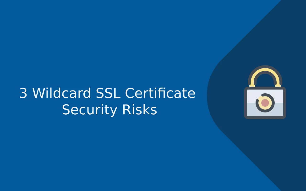 3 Security Risks That Will Make You Think Twice While Choosing Wildcard