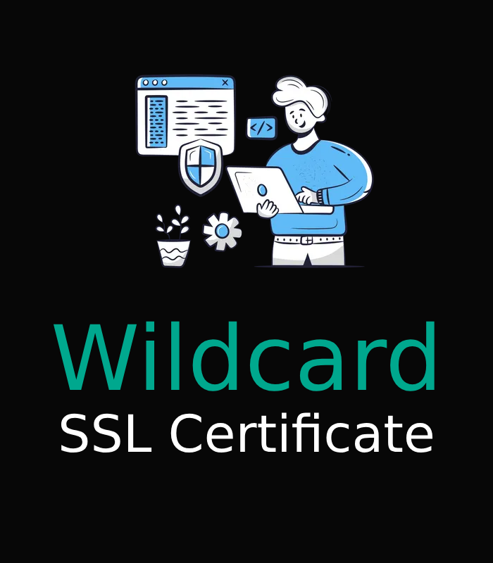 Wildcard SSL Certificate
